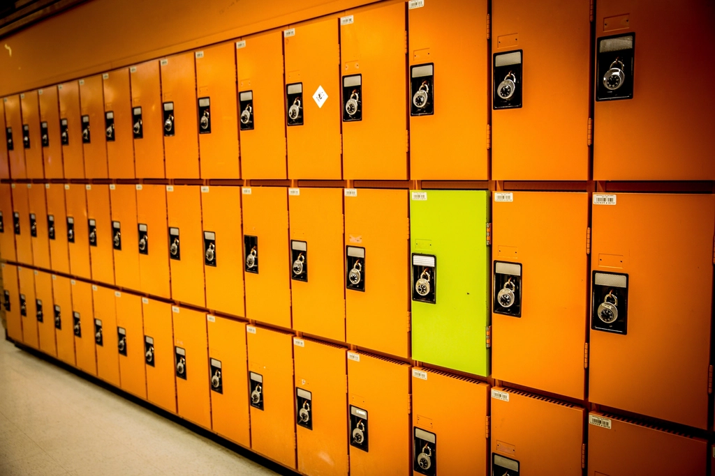 Lockdown Door Systems for Enhanced Security